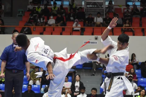 Kyokushin Image 1